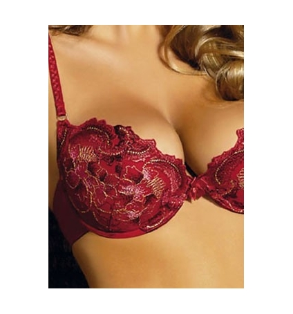 Soutien Gorge rouge V831