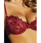 Soutien Gorge rouge V831